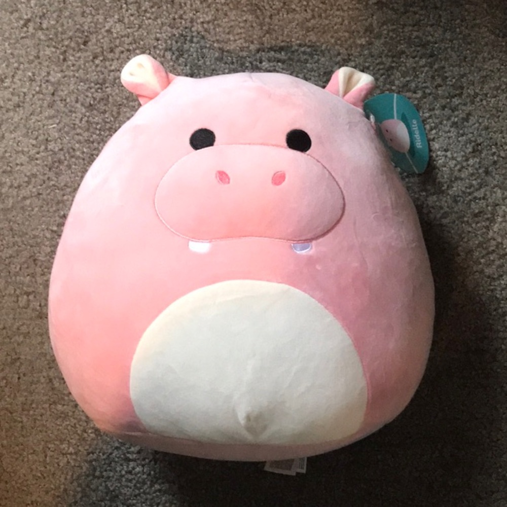 Ridelle hippo Squishmallow